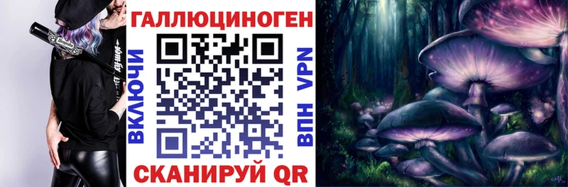 Псилоцибиновые грибы GOLDEN TEACHER Купить где Калач